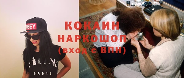 тгк Абаза